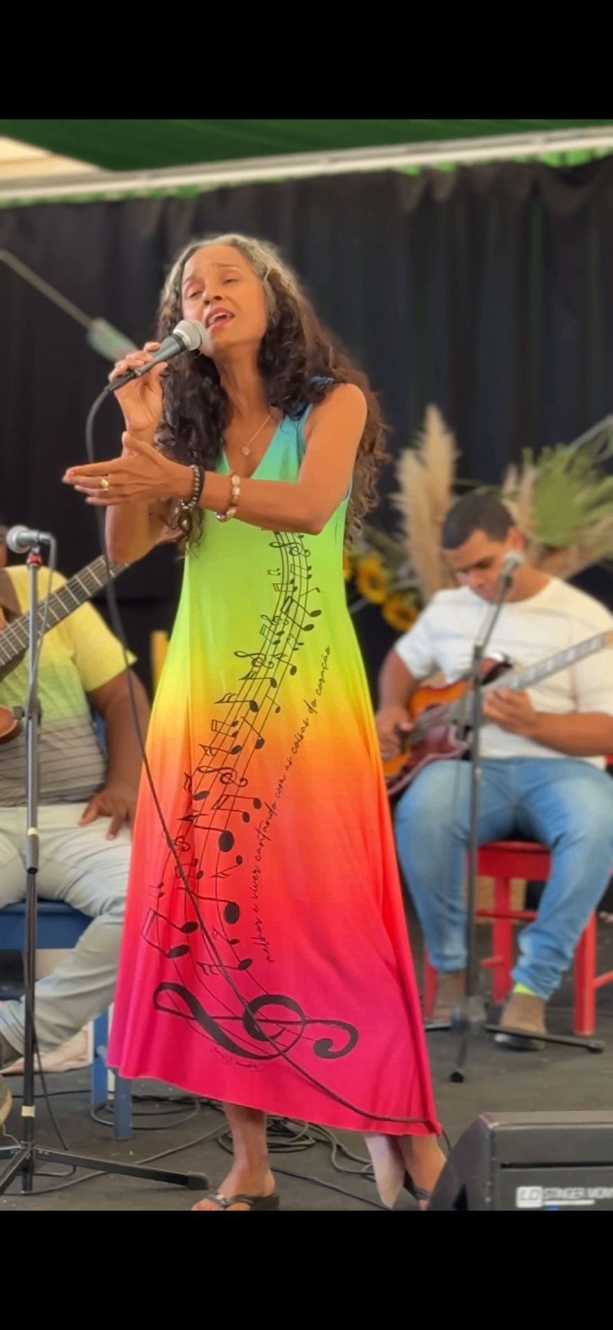 Carla Visi cantando ao vivo em palco da EcoFeira Du Bem · vestido colorido com notas musicais · cantora, jornalista e ativista ambiental · madrinha da Rede Du Bem