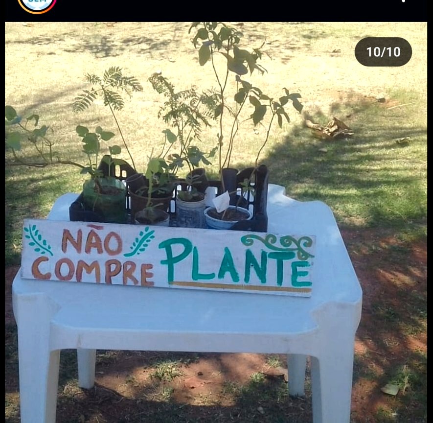 Doação de mudas de árvores · Bazar Du Bem · dez. 2019, Stella Maris · Salvador, BR